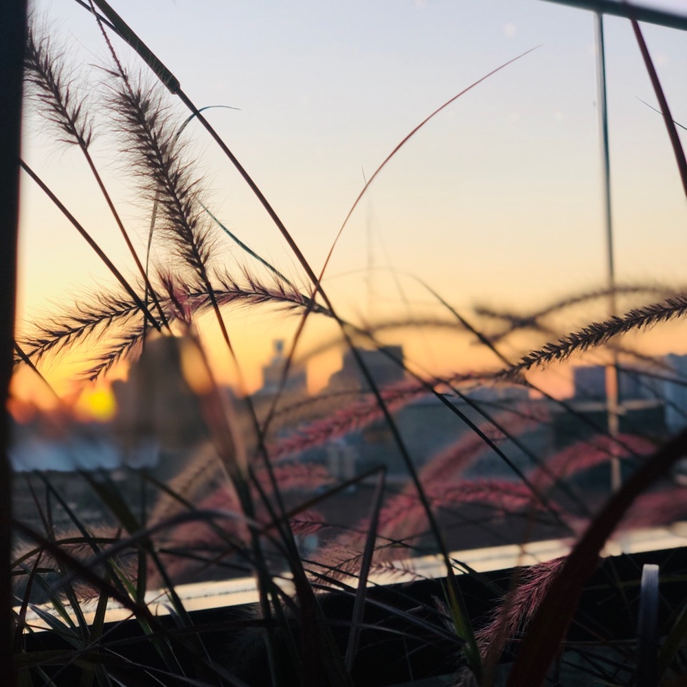 Meet your Posher, Matt